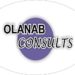 Venture Profile Olanab Consults image of Olanab P