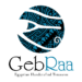 Venture Profile GebRaa image of Gebraa