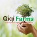 Venture Profile Qiqi Farms image of Company Logo