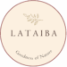 Venture Profile PT Pakar Bangun Nusantara image of Lataiba Logo