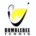 Venture Perfil Bumblebee Sports and Fitness Ltd imagen de Bumblebee Logo