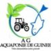 Venture Profile Aquaponie de Guinee image of Ff E A D A C B Fea A Ce Ea