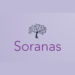 Venture Profile Soranas image of Elegant Minimalist Calligraphy Initials Logo