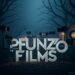 Venture Profile Pfunzo Films image of Image