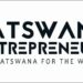 Venture Profile Batswana Entrepreneurs image of 