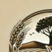 Venture Profile Rangelands Reseeding Solutions image of SEEDS UNLIMITED LOGO
