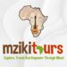 Venture Profile Mziki Tours image of SM ICON