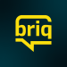 Venture Profile BRIQ Digital Limited image of Artboard