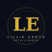 Venture Profile Lillie Earth Nigeria Limited image of Lillie Earth Logo