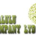 Venture Profile Malulu Company Limited image of Malulu Coy Logo