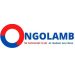 Venture Profile Ngolamb image of Photo